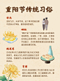 重阳节节日科普小红书套装小红书配图