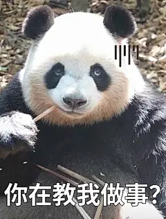 谢谢肉姐2023年贡献的表情包