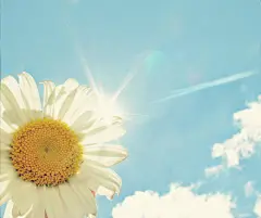  

司徒蓝牙文学图文插画：司徒蓝牙文字图集---蓝记---NO.2 - 那一片花田，有时候有时候，我们听着王菲的红豆，一步一步迎着日光走。你牵我的手，带我触碰你心灵最美最纯粹的那一块地方。 （图片10张） 原文地址： http://t.cn/zOmwBPK



