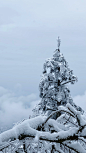 雪