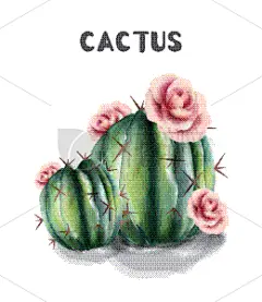 仙人掌,水彩画,分离着色,可爱的,纺织品,壁纸,婚礼,自然美,花,复古