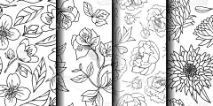 简单的手绘花卉收藏。4 .花无缝图案。