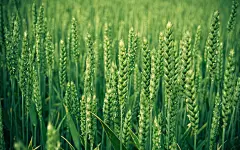 唯美自然风景推荐高清电脑桌面壁纸 