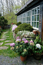 寻找最美的花园 42个花园小道铺贴方案