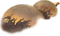 000000599