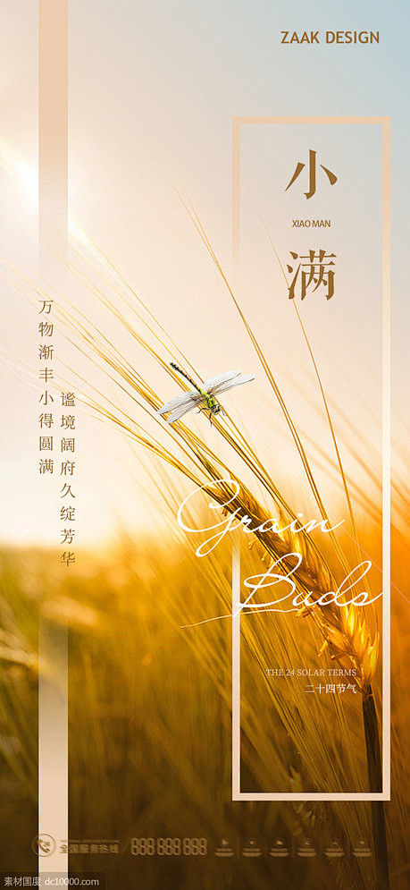 小满节气氛围感海报 - 源文件