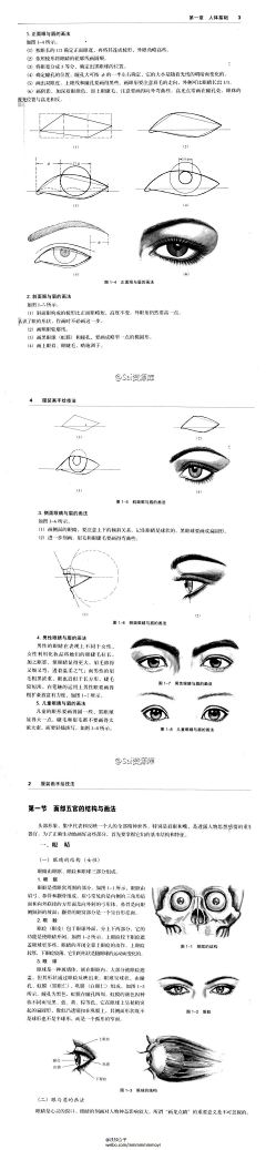 羚_羊采集到手绘_素描