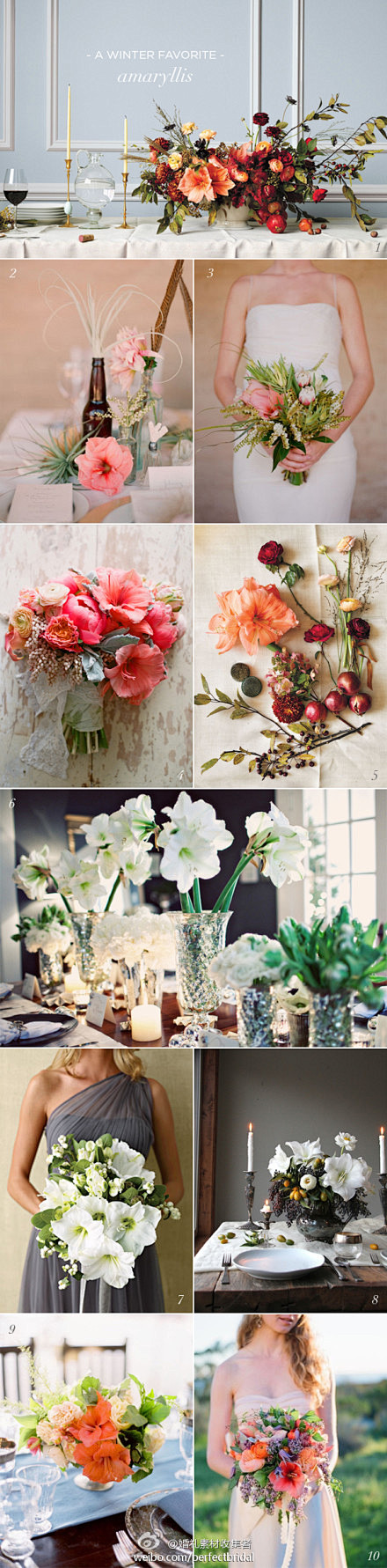 #婚礼花艺# 特殊的鲜切花花材-----...