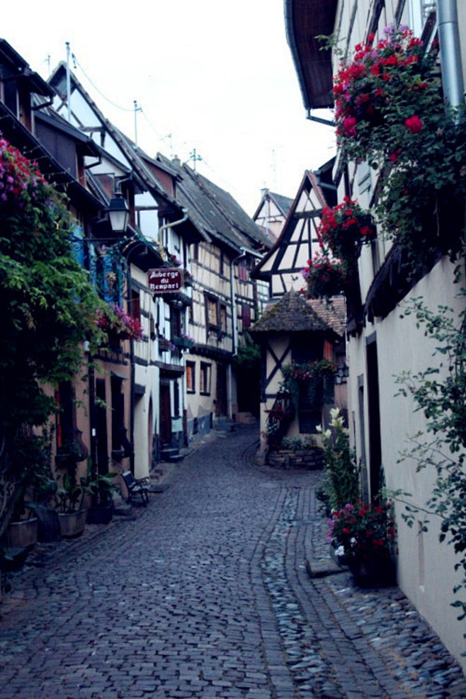 Eguisheim, Alsace, F...