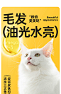 yee冻干果蔬猫粮全价全阶段成幼猫营养高蛋白低敏无谷鲜猫粮猫饭-tmall.com天猫