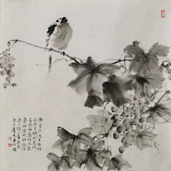 霜晨月叶筱伤采集到国画花鸟
