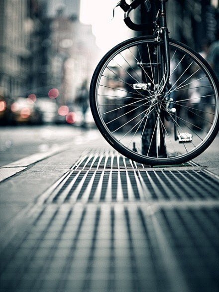 骑一辆单车，载着年轻的梦。
