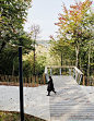 Urban Ramp by Espace Libre : A real project featuring the landscape, ecosystems, and vistas
