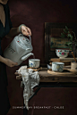 热门冬茶摄影作品 - 优秀冬茶摄影作品欣赏 - 500px摄影社区