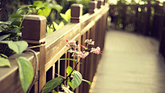surired采集到Fence栅栏/Enclosing wall围墙