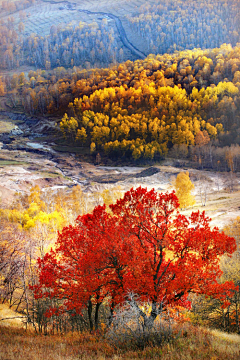 pjWen采集到风景