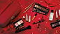 Elizabeth Arden Makeup, Skincare, Perfume & Gifts | Official Site