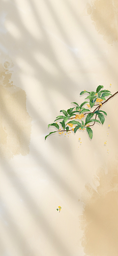 茉墨y采集到桂花素材