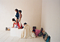 | The Animals Observatory