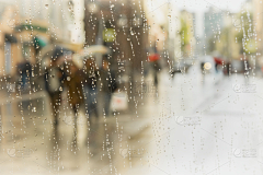 Eldard采集到雨 参考