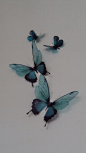 4 Luxury Amazing Teal Blue Butterflies 3D Butterfly Wall Art. $11.50, via Etsy.