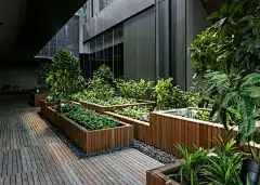 OUE Downtown / Shma