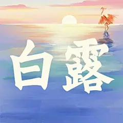 白露节气祝福白鹭手绘公众号次图