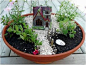 小石头，小房子，小花小草，自己动手diy一个微型花园吧。