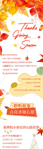【源文件下载】 海报 长图 公历节日 活动 感恩节 秋天 枫叶 254797