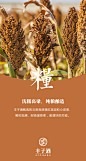 贵州红糯高粱、纯粮酿造、白酒的好处、饮酒