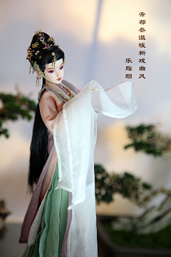 宠物鸟采集到人偶