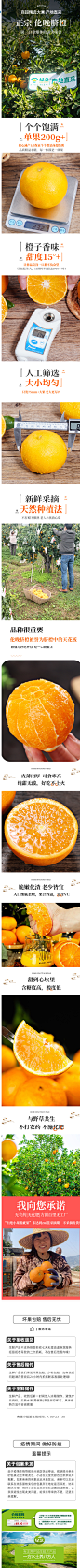 正宗秭归伦晚脐橙9斤装产地直发新鲜水果整箱当季现摘橙子甜赣南-tmall.com天猫
