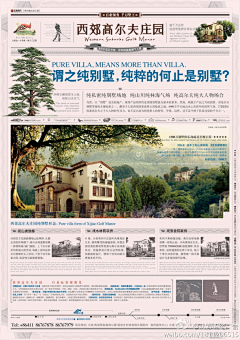 大狗888采集到单页 背面