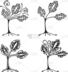 矢量手绘插图，装饰树木观赏风格化。黑白图形插图孤立在白色背景上。公司画轮廓。装饰艺术装饰木