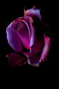 yourlovelifeworld:

FOR YOU WITH….
◯╔╗═◯╔═╗◯╔╦╗◯╔═╗◯  ◯║╚╗◯║║║◯║║║◯║╩╣◯ ◯╚═╝◯╚═╝◯╚═╝◯╚═╝◯
