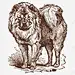 手绘牧羊犬高清素材 动物 卡通 手绘 牧羊犬 免抠png 设计图片 免费下载