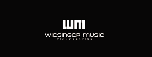 创意字母logo，英文字母W