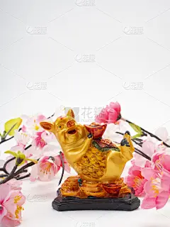 猪,月亮,2020,新年前夕,可爱的,传统,贺卡,泰国,动物,中国