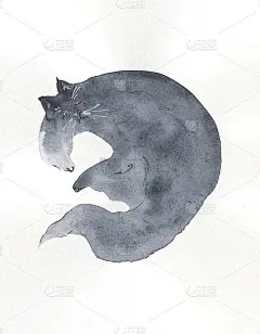 睡猫水彩画