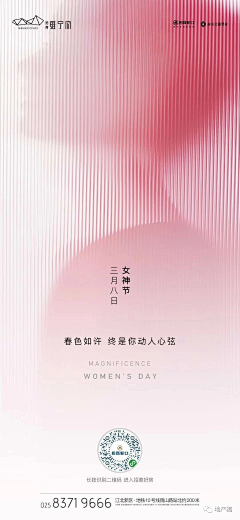 猪兔子220采集到节气