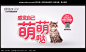 宠物专营店宣传海报