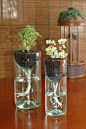 Self watering planter made from recycled wine bottle. perfect for ind…