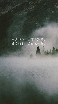 狸宝✨采集到文字