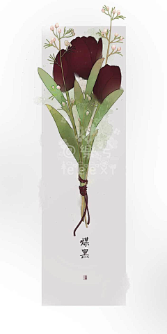 莛莛123采集到水彩