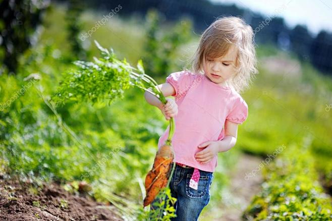 在花园里摘胡萝卜的可爱小女孩