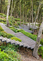 paolo pejrone / giardino argentario, grosseto: