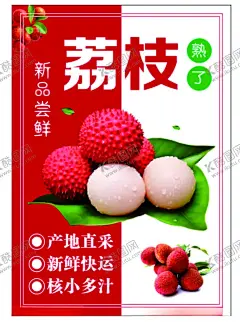 荔枝 【酷图网】荔枝,荔枝海报,荔枝广告,产地直采,新鲜快运,核小多汁