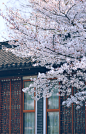 回不去的良辰 都是举世无双 -云霓