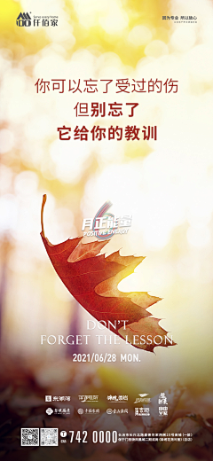 皮卡丘CN采集到MINE