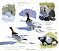 野生动物画师Federico Gemma的水彩鸟类写生